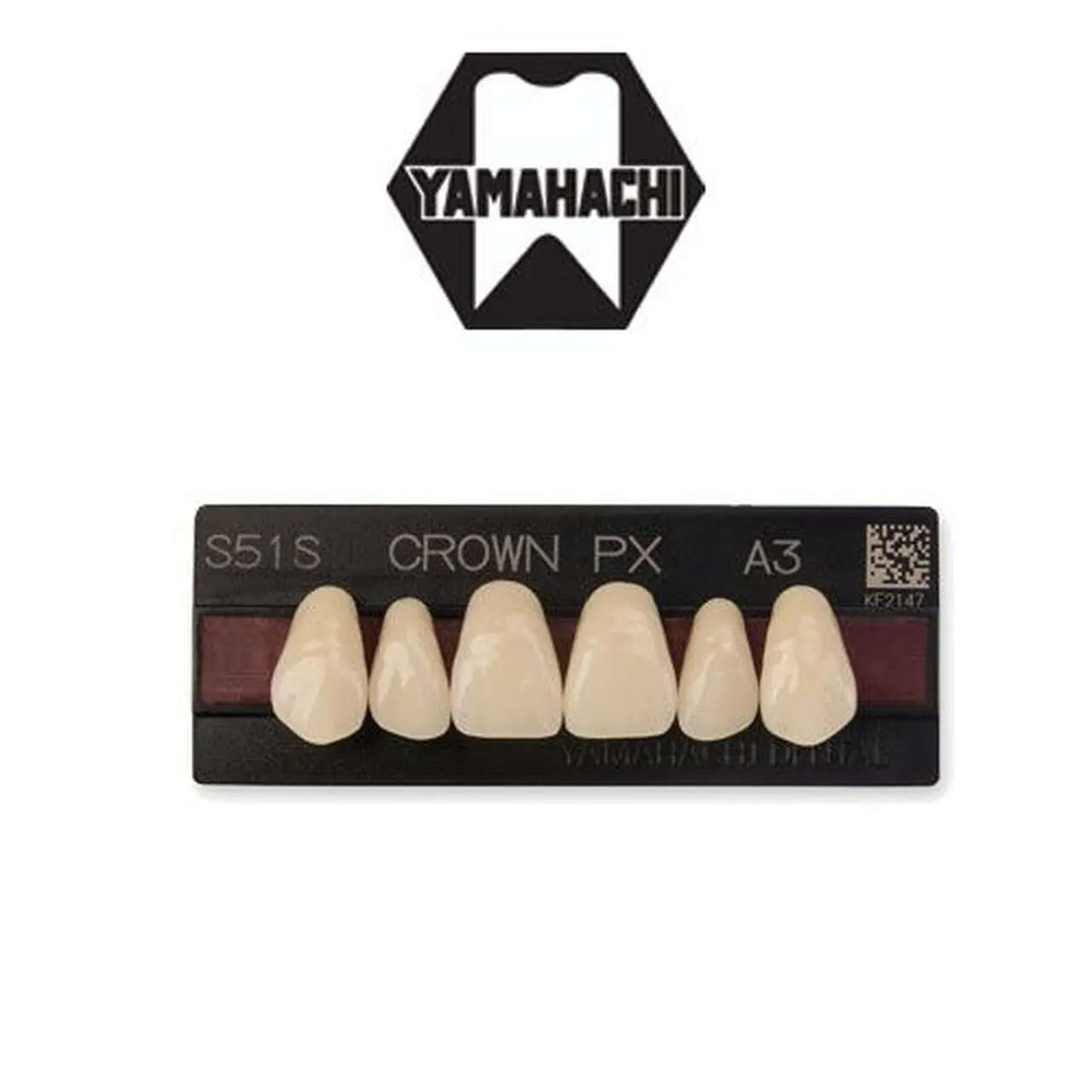 Teeth, composite teeth, Yamahachi