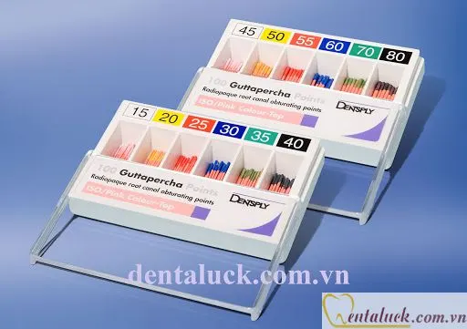 Cone Gutta Percha Dentsply