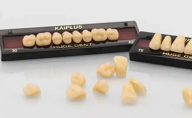 HUGE KAIPLUS COMP Composite Teeth - Firoozdental