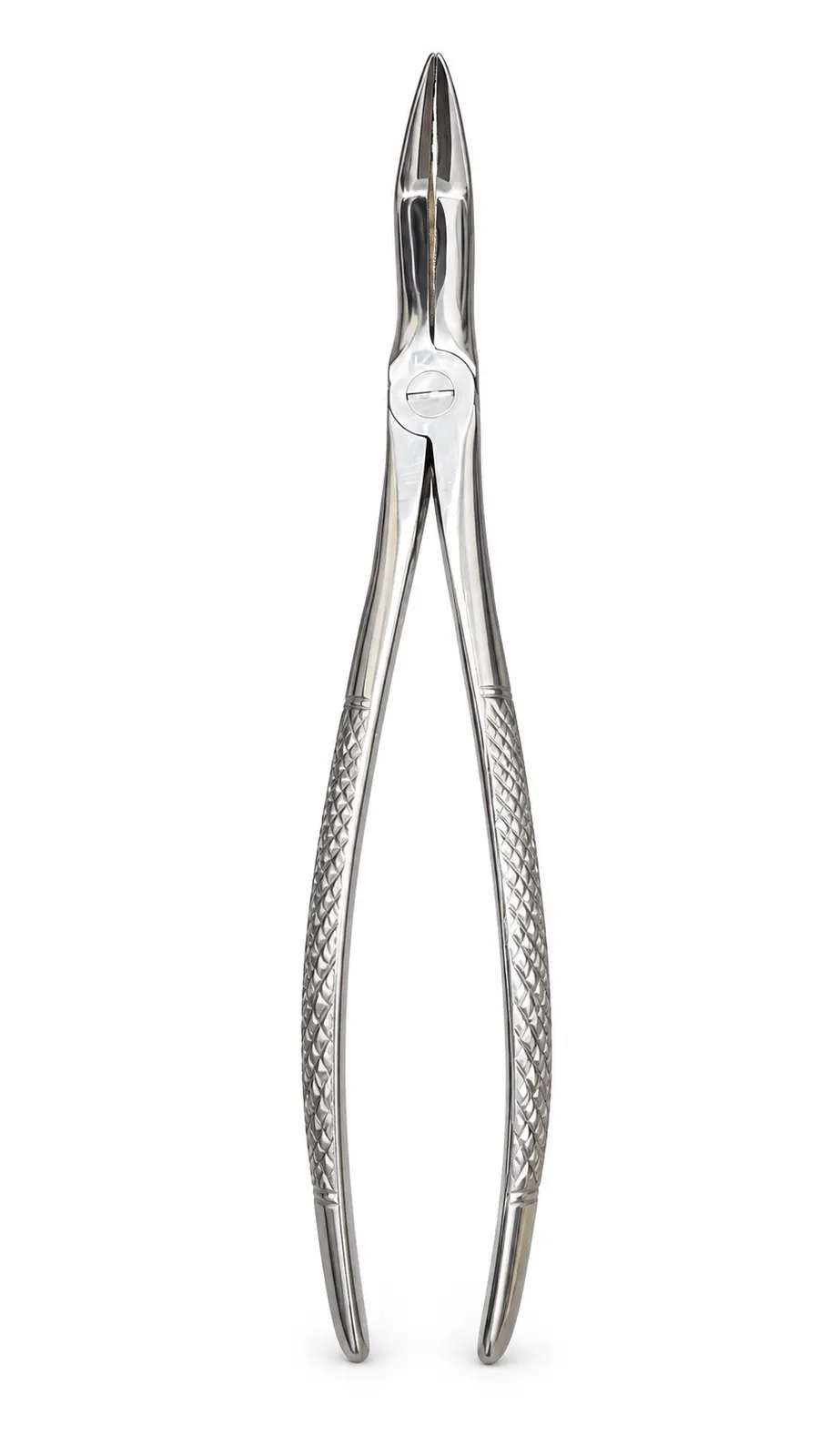 Dental Extraction Forceps