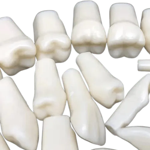 Upper Canine Acrylic Teeth