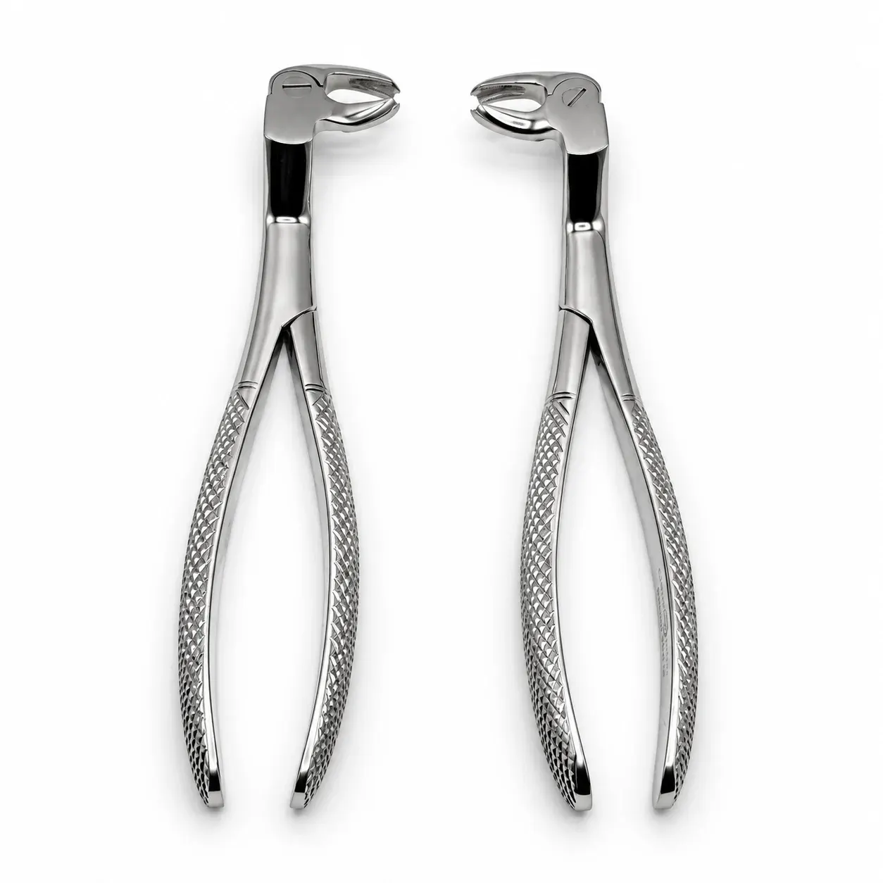 Lower Molar and Wisdom Set
