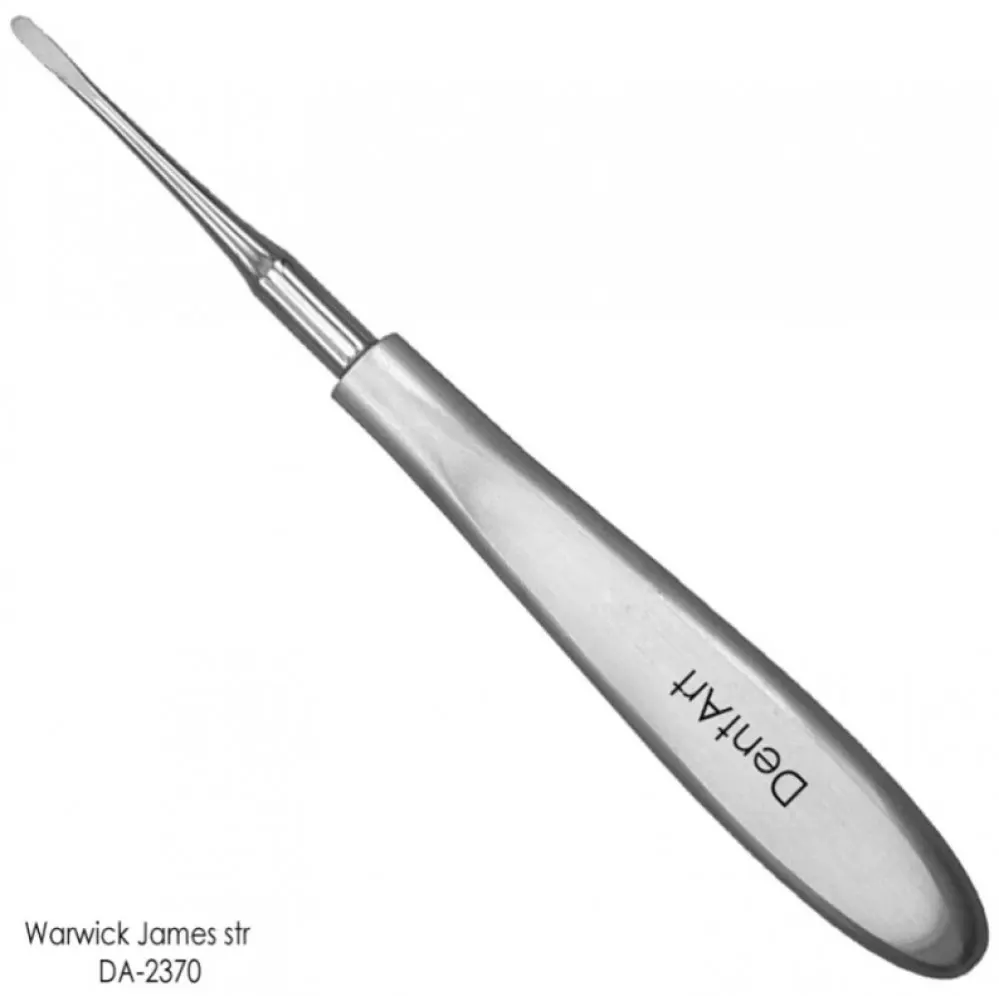 Root Elevator Warwick James Straight /DA-2370