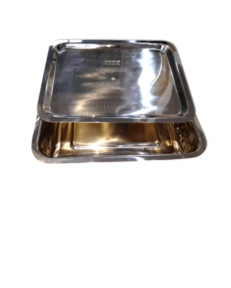 Instrument Tray With Lid 255x165x50/DA-6358
