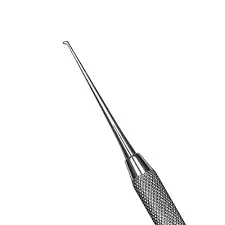 Cleoid Discolid Carver