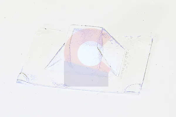 Gel Foam Dental Sponge Big