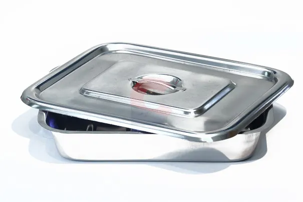 Tray with Cover- Stainless Steel Large
