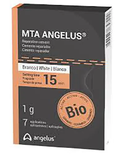 MTA angelus