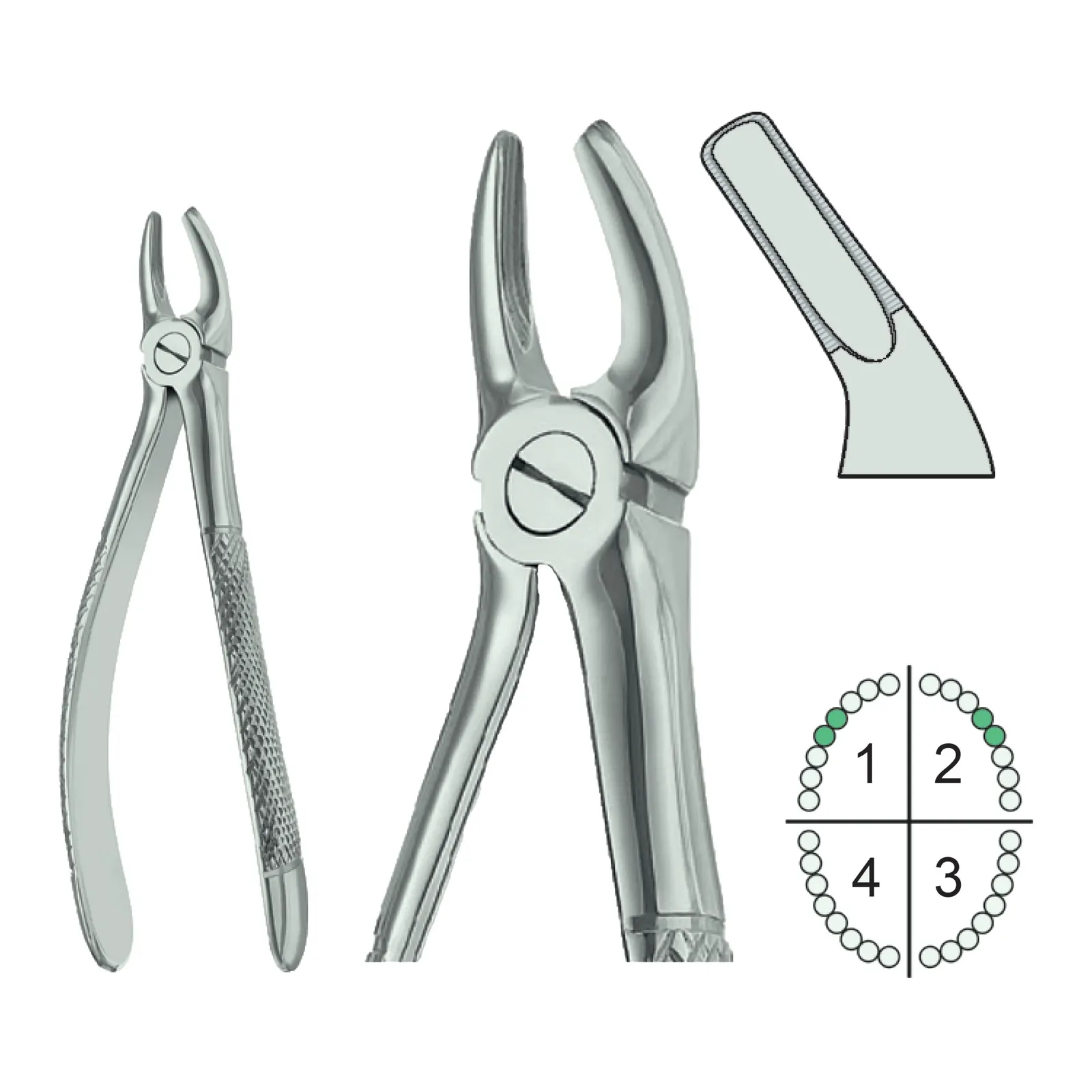 Extracting Forceps English Pattern Fig.7