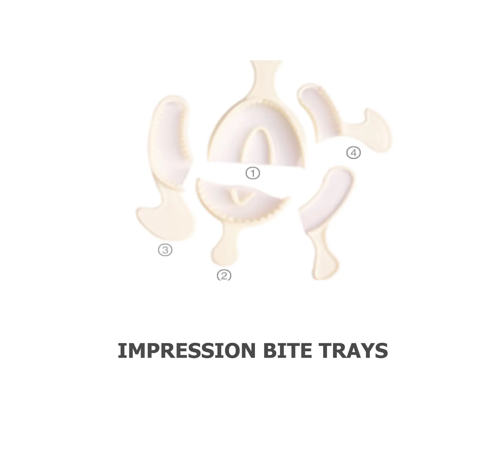 BITE TRAYS (20 PCS)