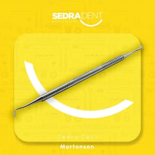 Amalgam burnisher Mortonson