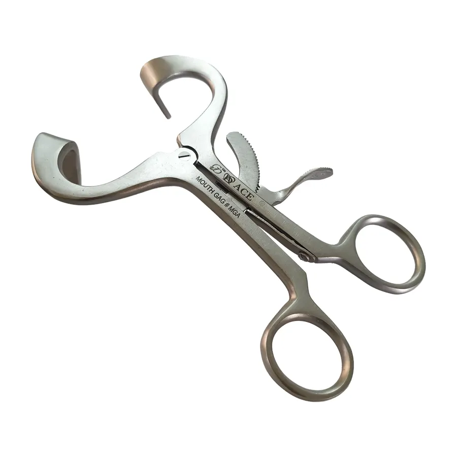 Ace Mouth Gags Large 14cm