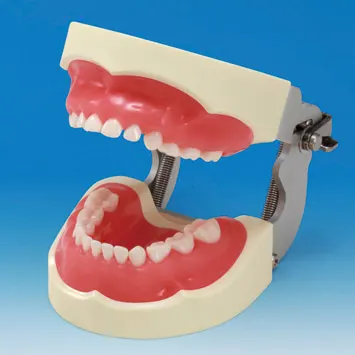 Nissin Cast Model Soft (Pedo Cast)