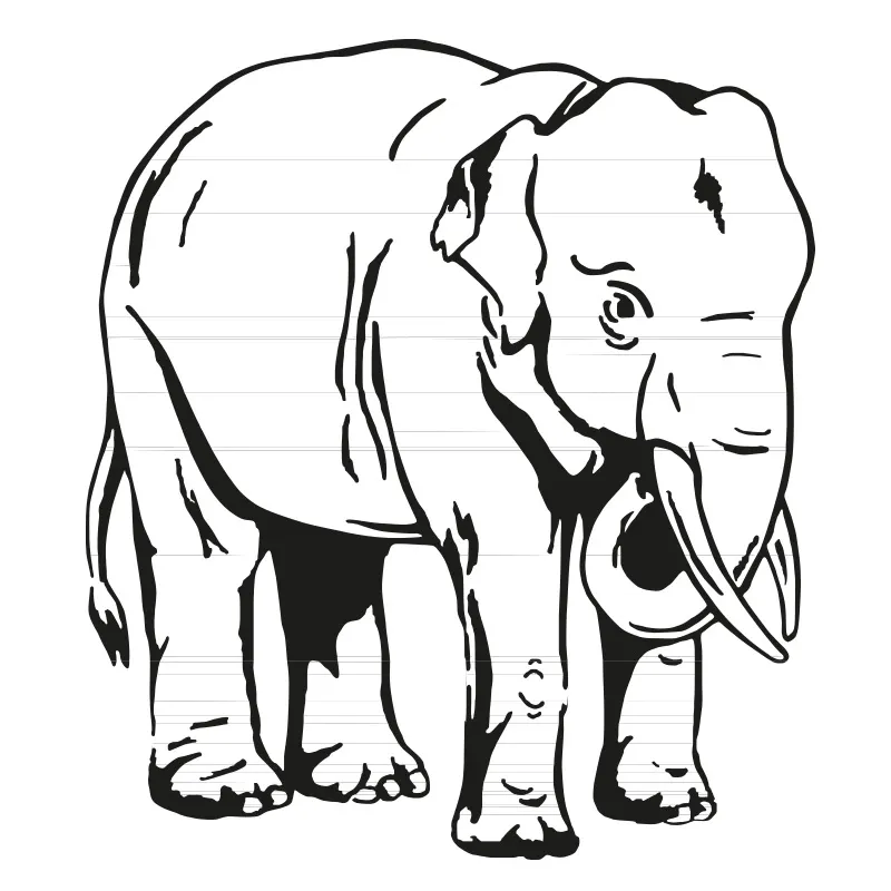 ELEPHANT 1/8” HEAVY | 61/2 Oz | 180 Gms