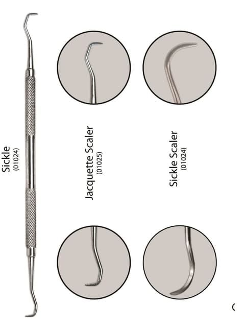 Hand Scalers - Bibodent | Dental Supplies & Equipment