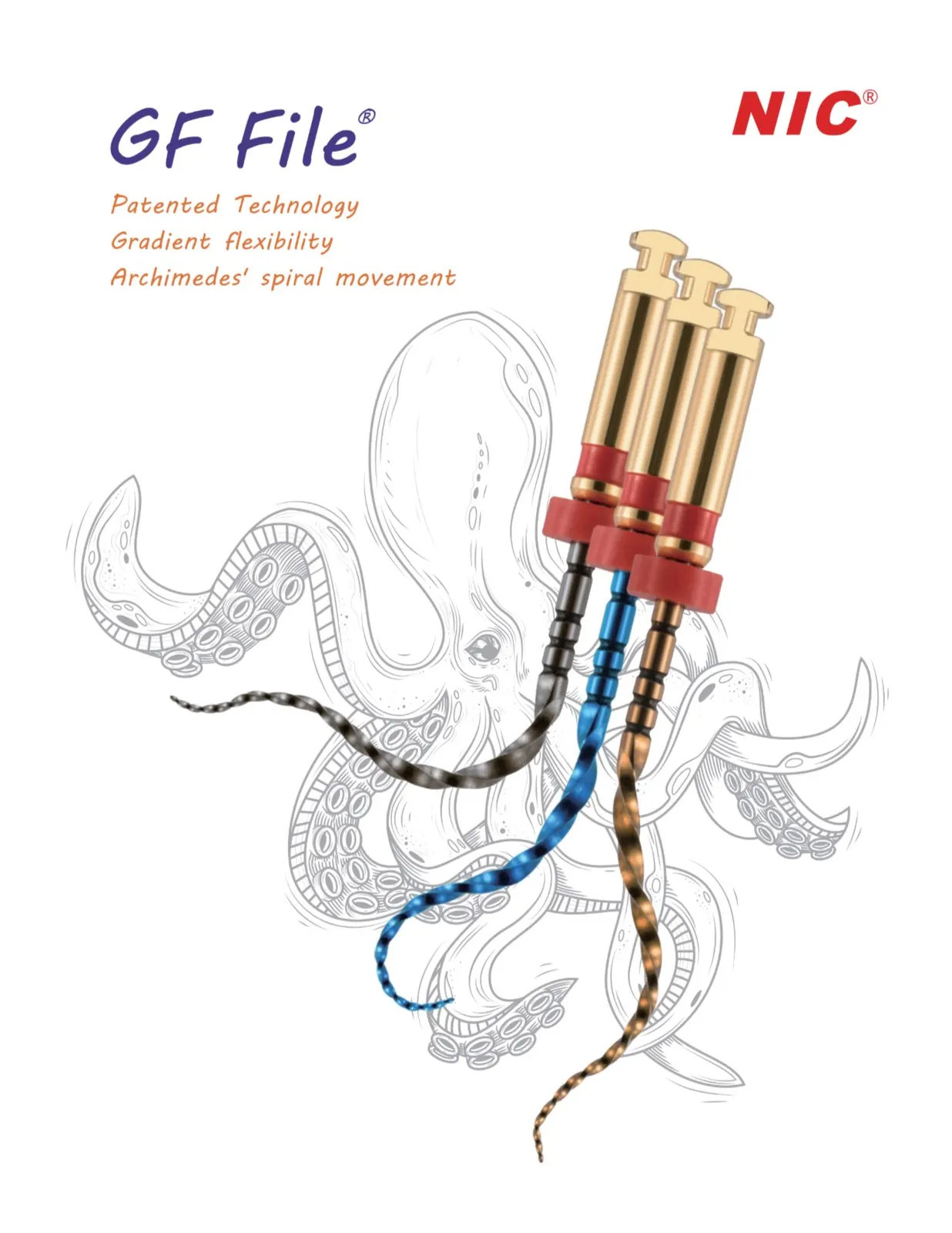 GF Rotary file, NIC