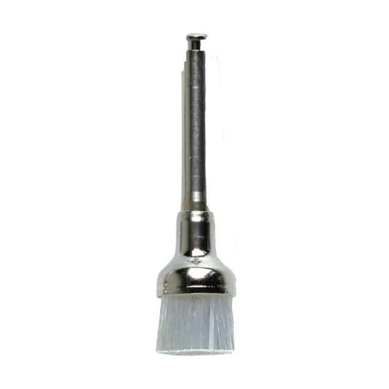 Brossettes De Détartrage 100 Pcs