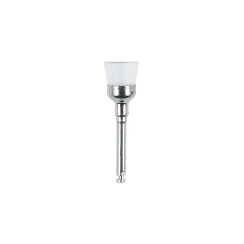 Brossettes De Détartrage En Nylon (20 pcs)