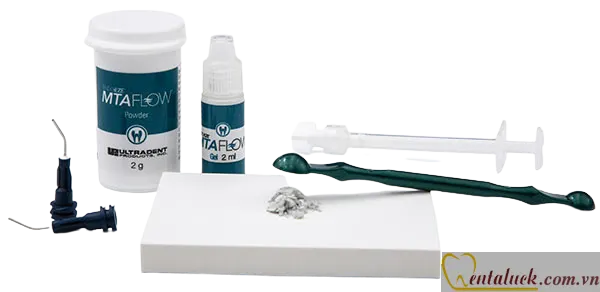MTA Flow – Trám bít ống tủy