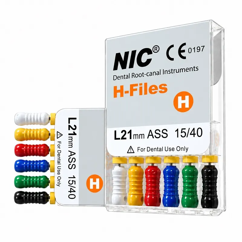 H Files – NIC