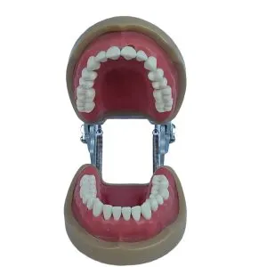 Banna Soft Gingiva Cast MH-03