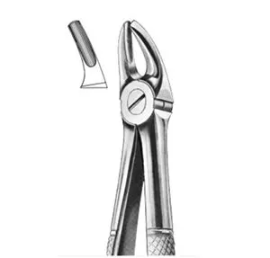 Upper Premolar Forceps