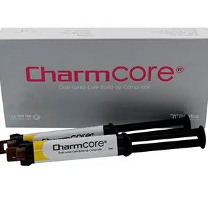 Charm Dual Cure Core Build Up