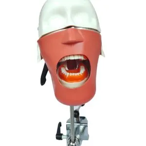 EL banna Dummy Head Advanced Type