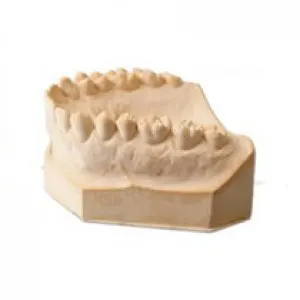Model Stone Class III Yellow 22.5kg