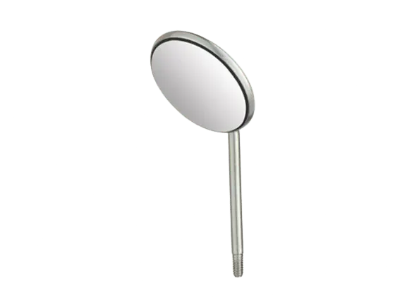 Pakistan Mirror Head