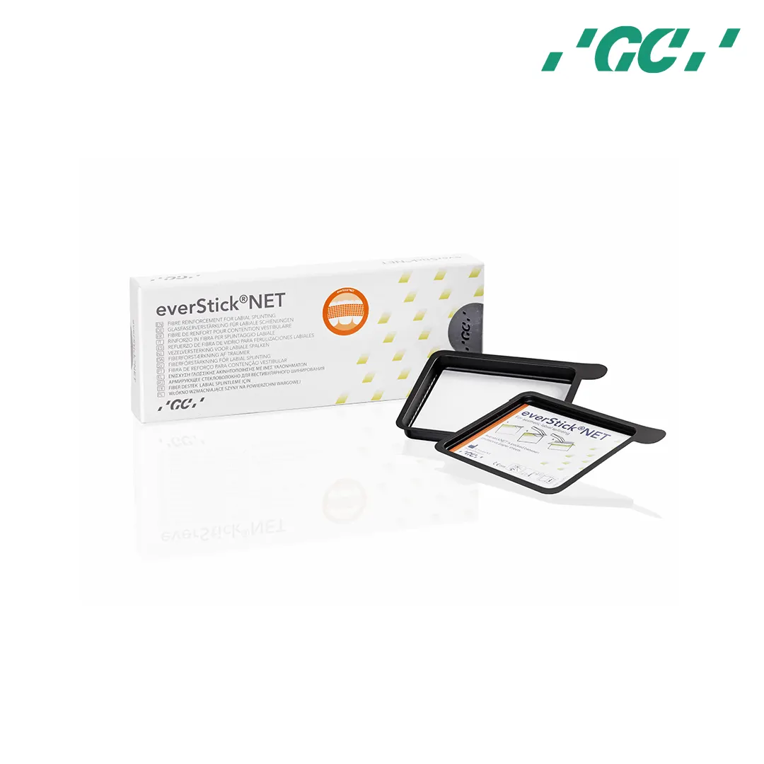 everStick NET