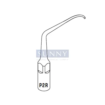 P2R Scaling Tip