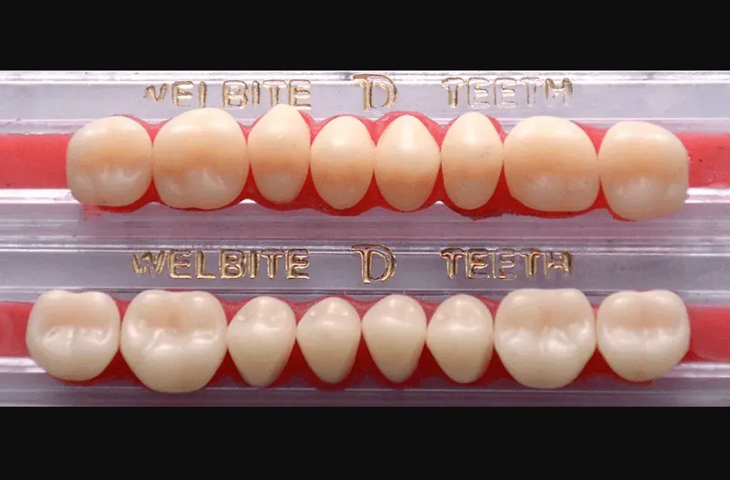 Teeth Full Set U/L – Welbite