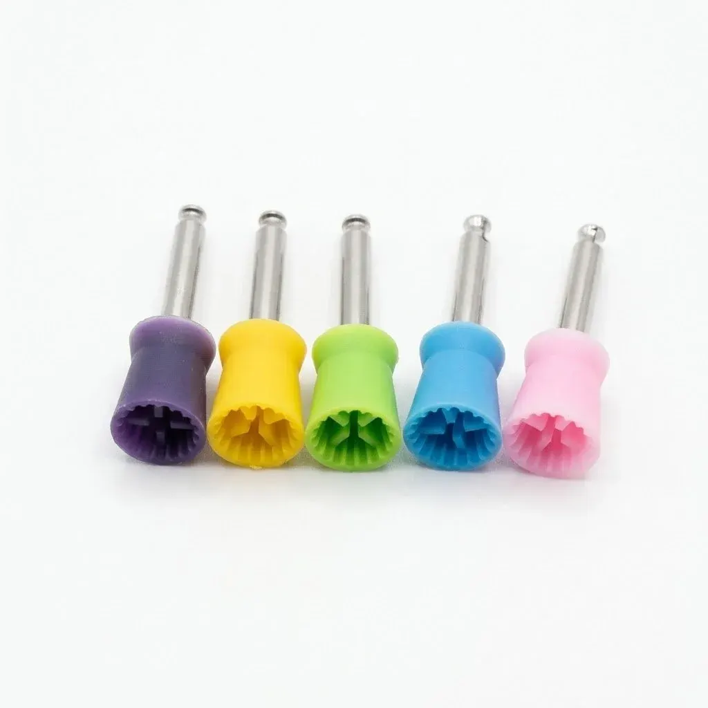 Cupule en couleur