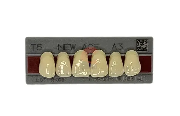 New Ace Pontics T5 A3
