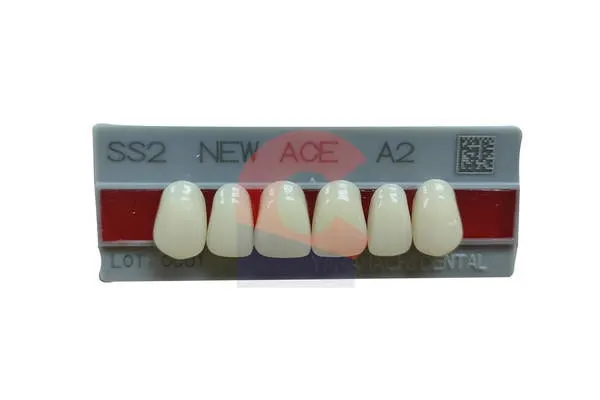 New Ace Pontics SS2 A2