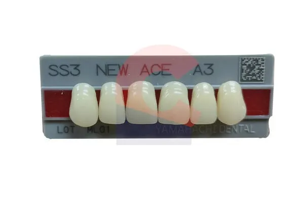New Ace Pontics SS3 A3