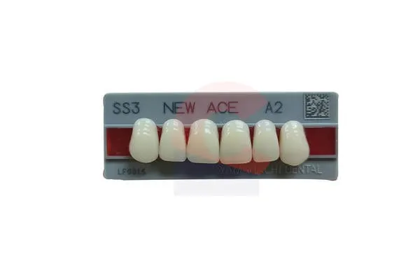 New Ace Pontics SS3 A2