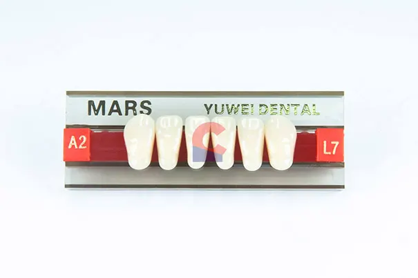 MARS Pontics L7 A2
