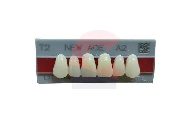 New Ace Pontics T2 A2