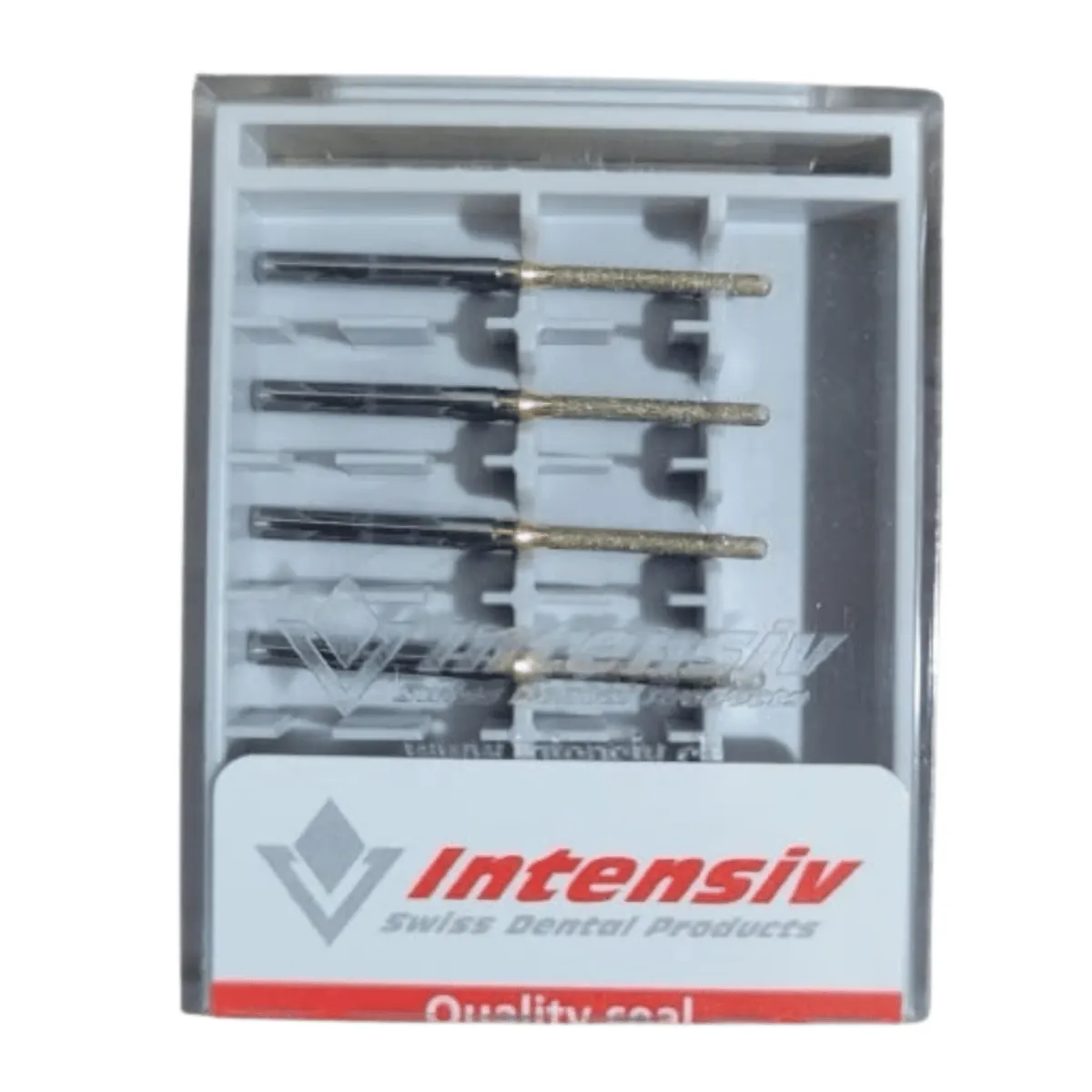 Intensiv FG 305L/6 GB