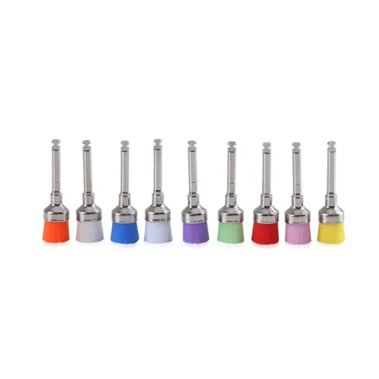 Prophy Brushes