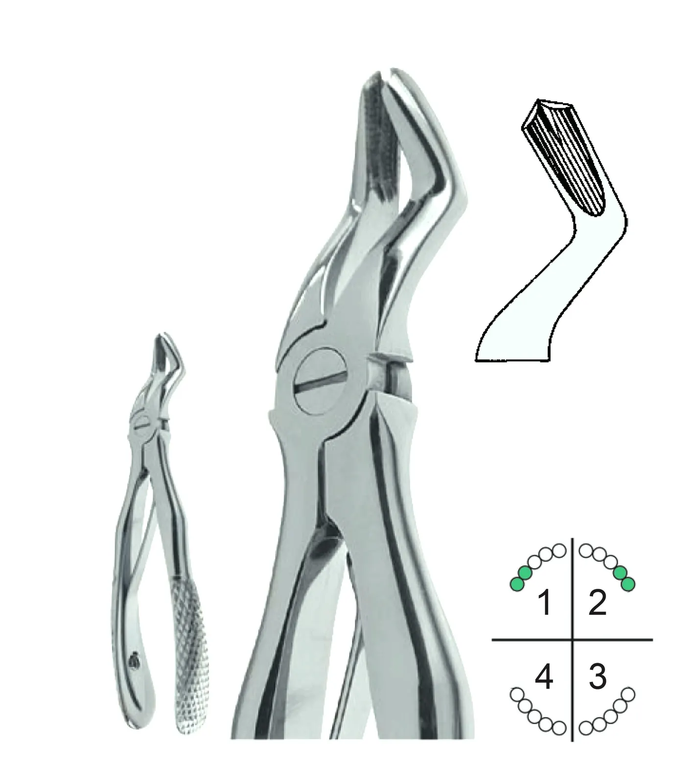 Extracting Forceps For Children English Pattern Klein Fig.3
