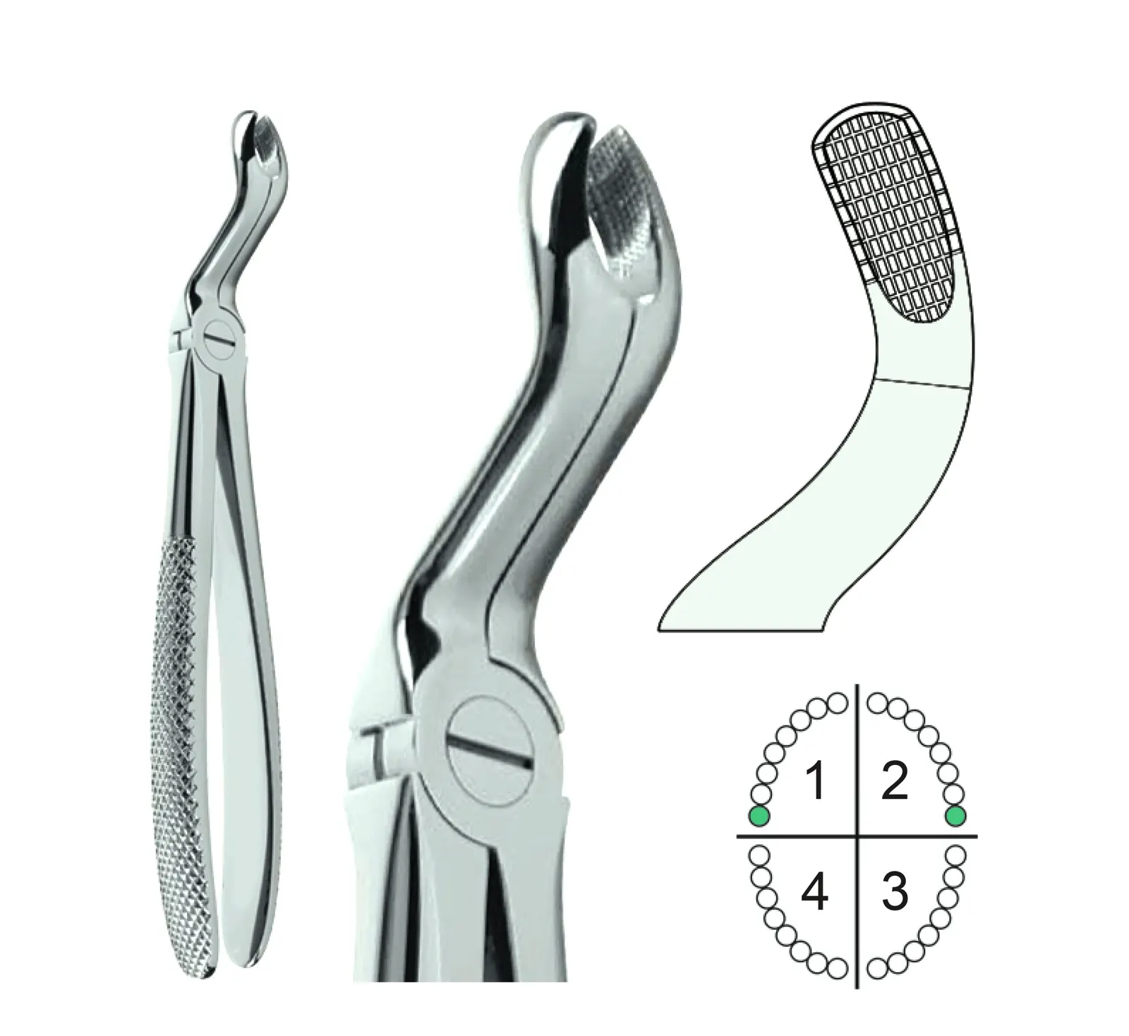 Extracting Forceps English Pattern Fig.67A