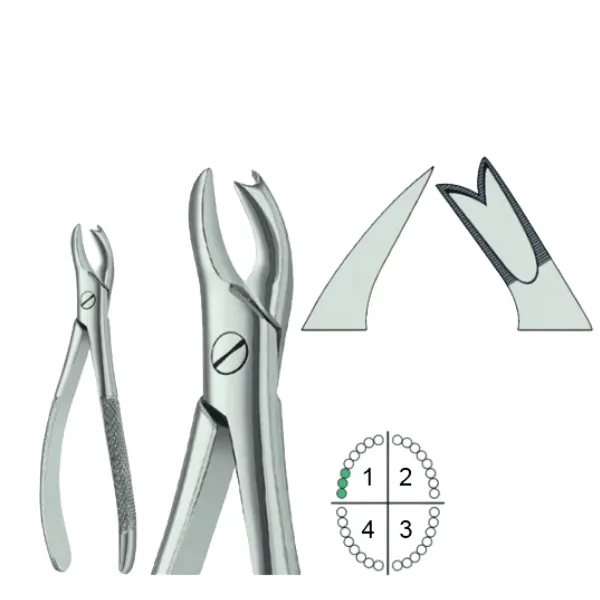 Extracting Forceps English Pattern Fig.89