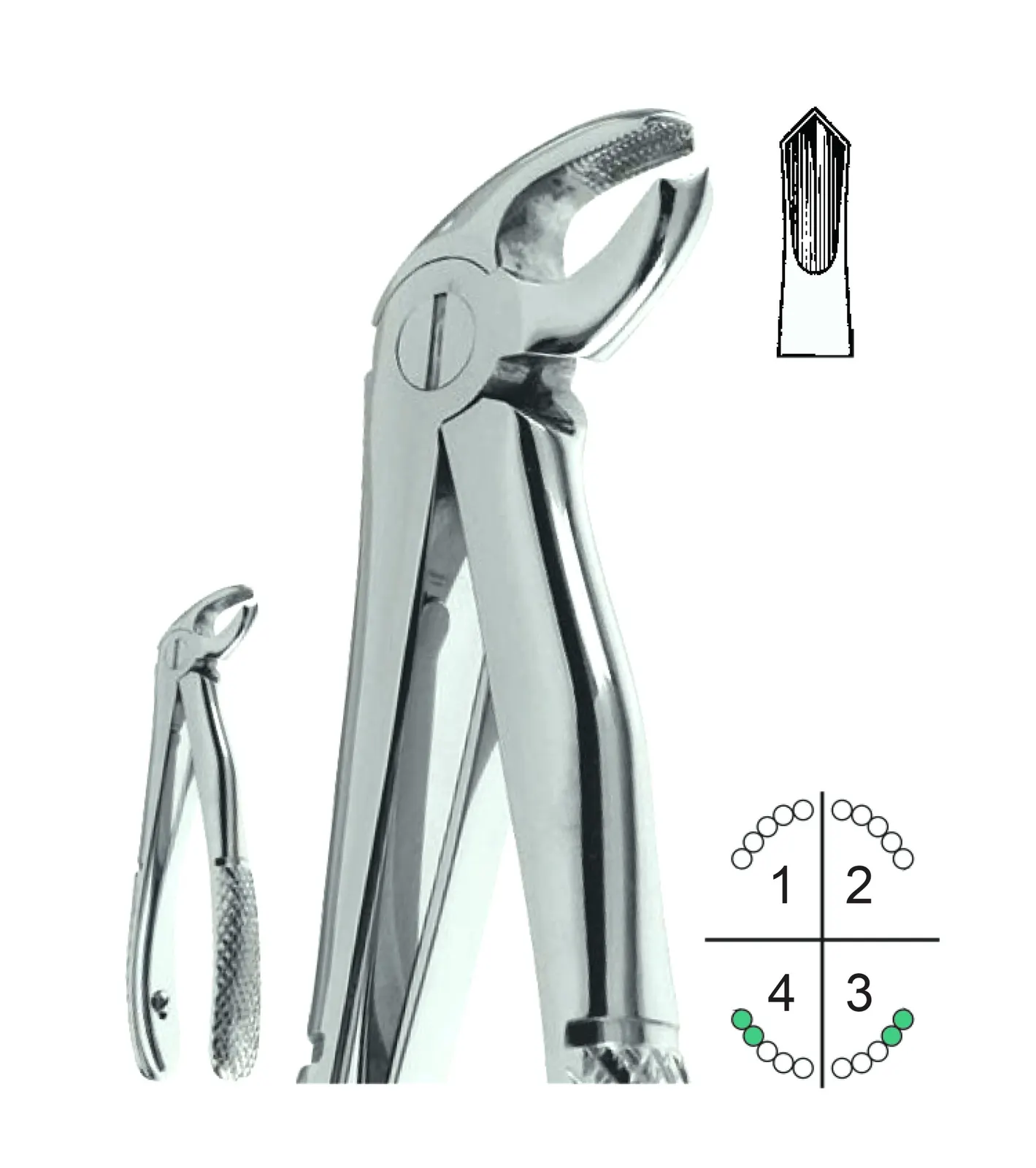 Extracting Forceps For Children English Pattern Klein Fig.6