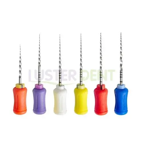 Lusterdent Protaper Hand Files 21mm #F2