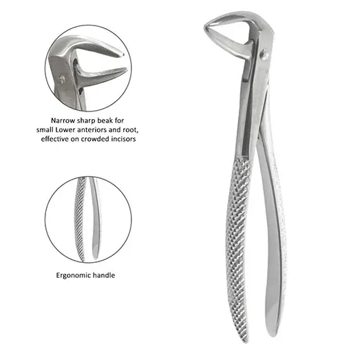 Ace Forcep Adult FX74N – Lower Roots