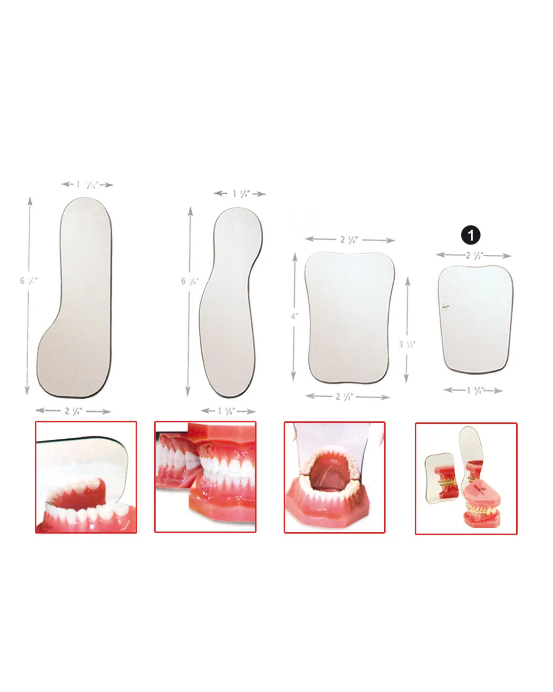 Miroirs pour photos intrabuccales