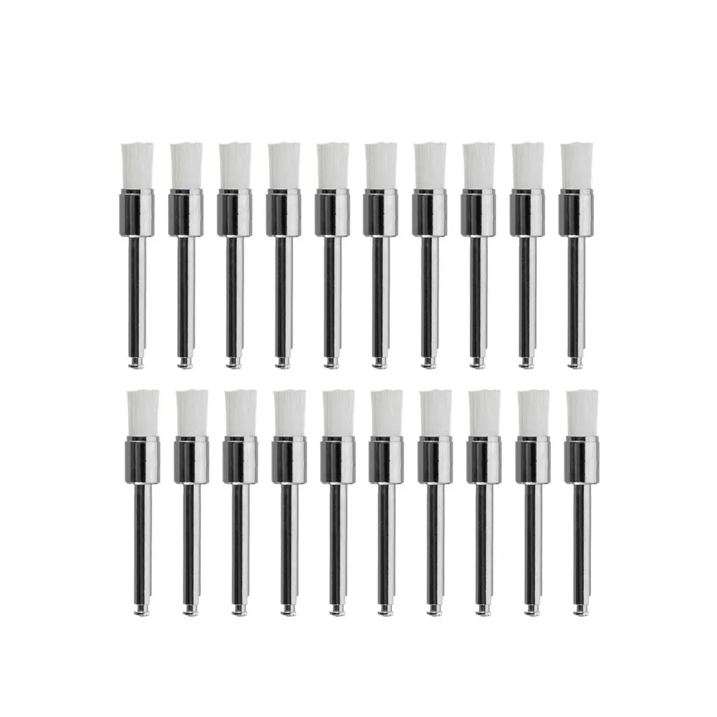 Prophy Brush